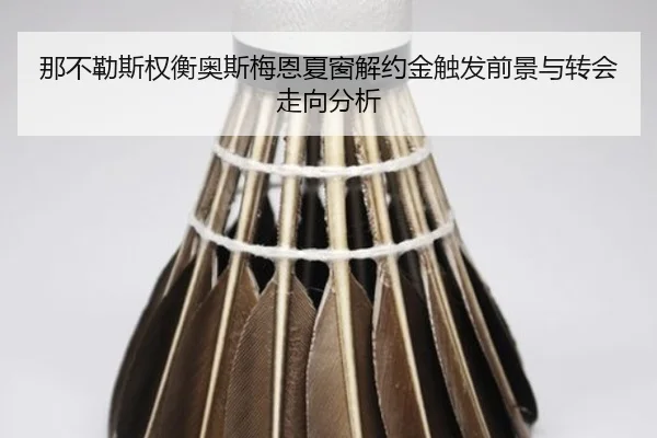 那不勒斯权衡奥斯梅恩夏窗解约金触发前景与转会走向分析